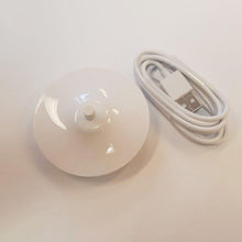 Wilfa Jordan eltandborste laddare