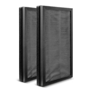 Filter Kärcher AF20